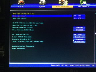 IMG_0335.JPG IMG_0335.JPG