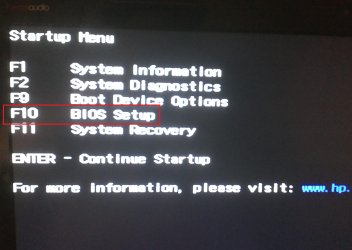 VT1.jpg