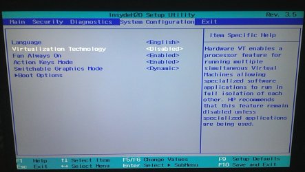VT2.jpg