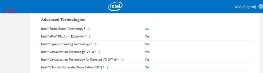 Intel VT.jpg