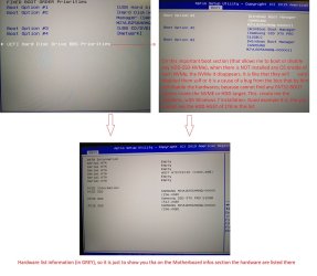 BIOS Boot Section.jpg