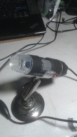 20200407_074527.jpg