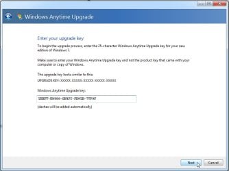 anytimeupgardeacer.jpg anytimeupgardeacer.jpg