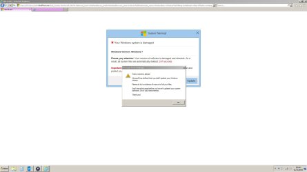 windows scam.JPG