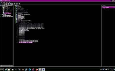 present usb devuces in device manager.jpg