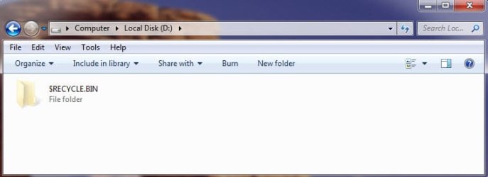 D drive.jpg