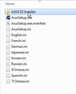 asus-ez1.jpg