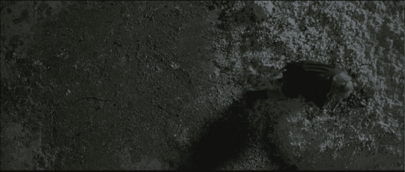 1.7mc capture 1.PNG
