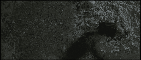 1.mpc capture1.PNG