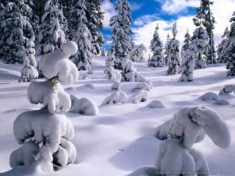 SnowScenes.jpg SnowScenes.jpg