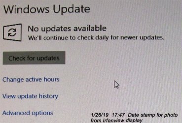 IMG_7961_Sel_Win10_NoUpdatesAvailable.jpg