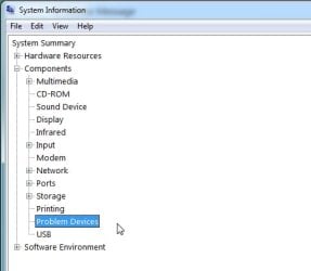 msinfo32-problem-devices1.jpg msinfo32-problem-devices1.jpg