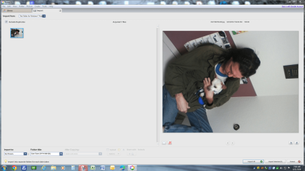 Capture - 7.PNG