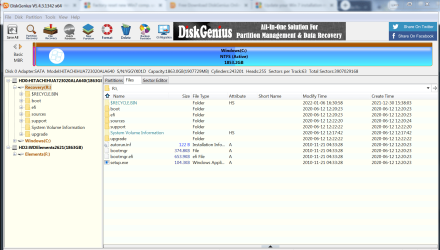 disk genius.PNG