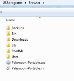 palemoon-4.jpg palemoon-4.jpg