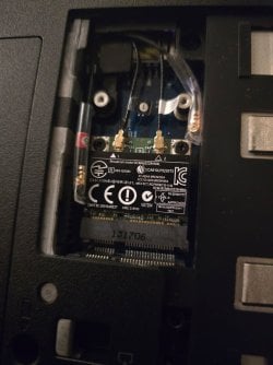 8068783244652477811[1].jpg