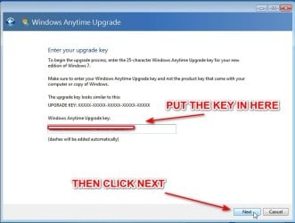 UPGRADE-4 - Copy.jpg