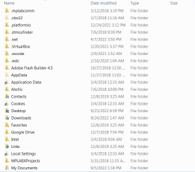 Regular Nelu user.png