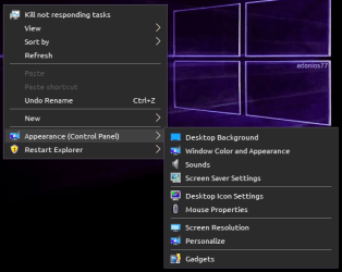 Appearance_custom_[W10].png