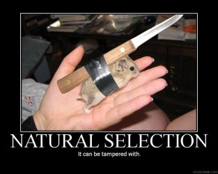m natural selection.jpg m natural selection.jpg