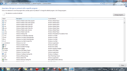 Capture WM ext type.PNG