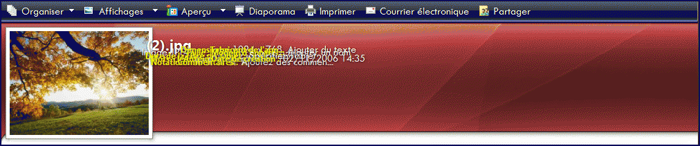 090829012402278733.gif