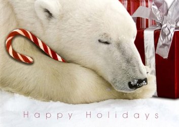 seasongreetings.jpg seasongreetings.jpg