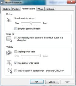 show mouse pointer.jpg