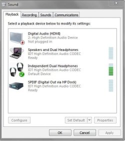 audio.JPG