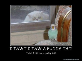 633612375181811995-itawtitawapuddytat.jpg