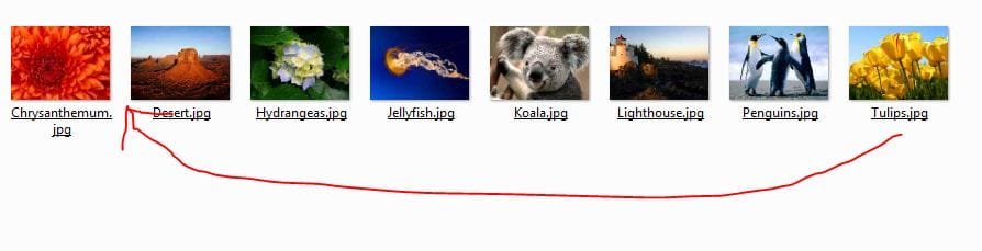Capture.JPG