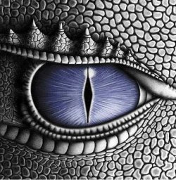 eragon01.jpg