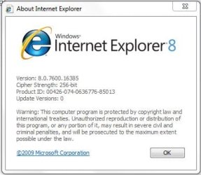 IE8-32bit.JPG