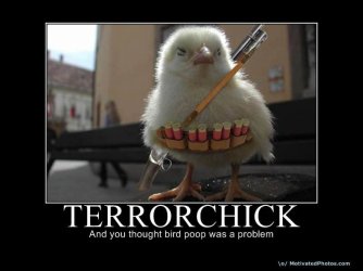 jihad_chick.jpg