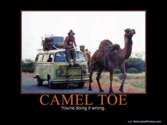 633593555235747657-cameltoe.jpg
