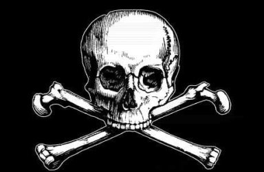 281skullbones[1].jpg
