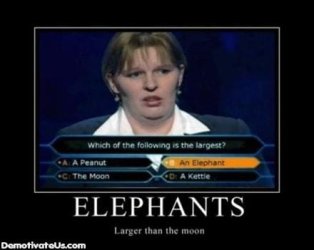 elephants-larger-moon-demotivational-poster.jpg
