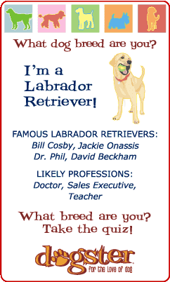 badge_lab.png