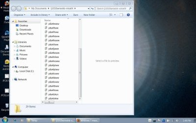 vista.unzip.JPG vista.unzip.JPG
