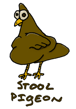 stoolpigeon.png