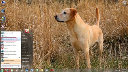 browser.jpg