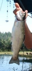 Pisces_Fishing.JPG