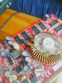 840A0306.JPG