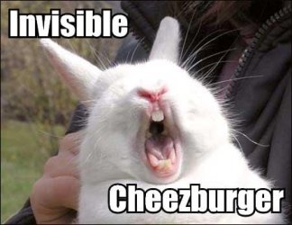 lolcats(7).jpg lolcats(7).jpg