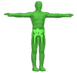 Human_Body.gif