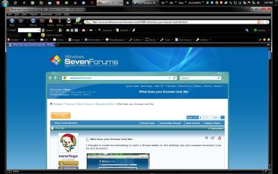 browser.jpg