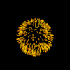 58.gif