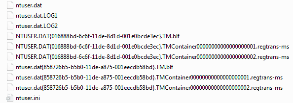 ntuser files.PNG