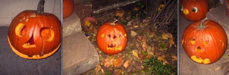pumpkin patch.JPG pumpkin patch.JPG