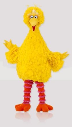 Big Bird.JPG